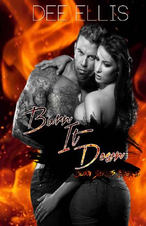 [Burn 02] • Burn It Down (The Burn Series Book 2)